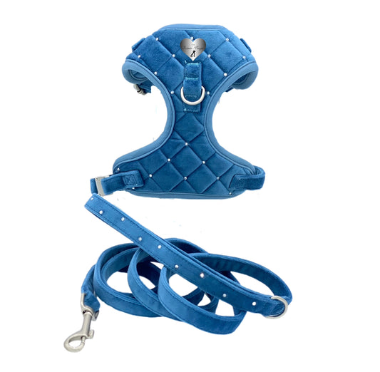 Harness, Leash & Waste Bag Pouch (Steel Blue)